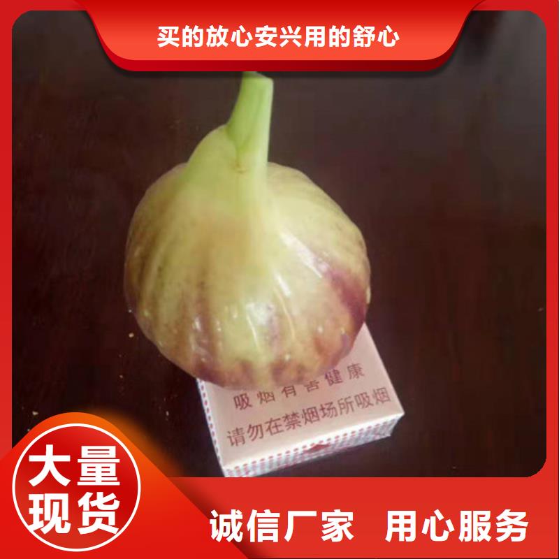 无花果花椒苗产品优势特点