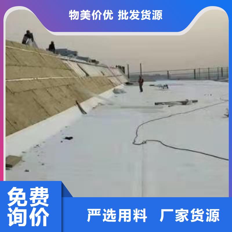 PVC_【TPO防水卷材施工队】性价比高