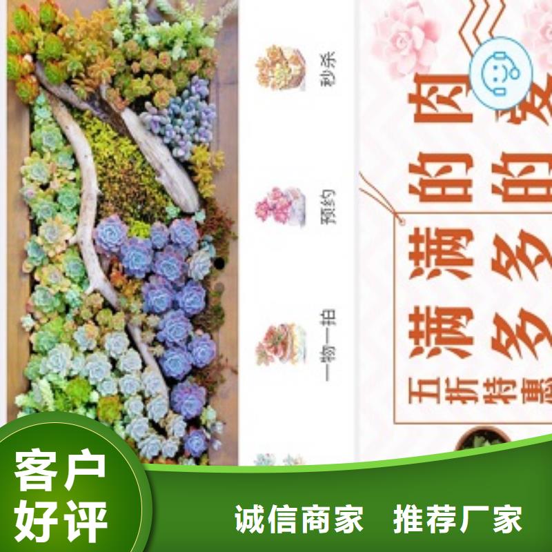 小程序制作物联网app开发检验发货