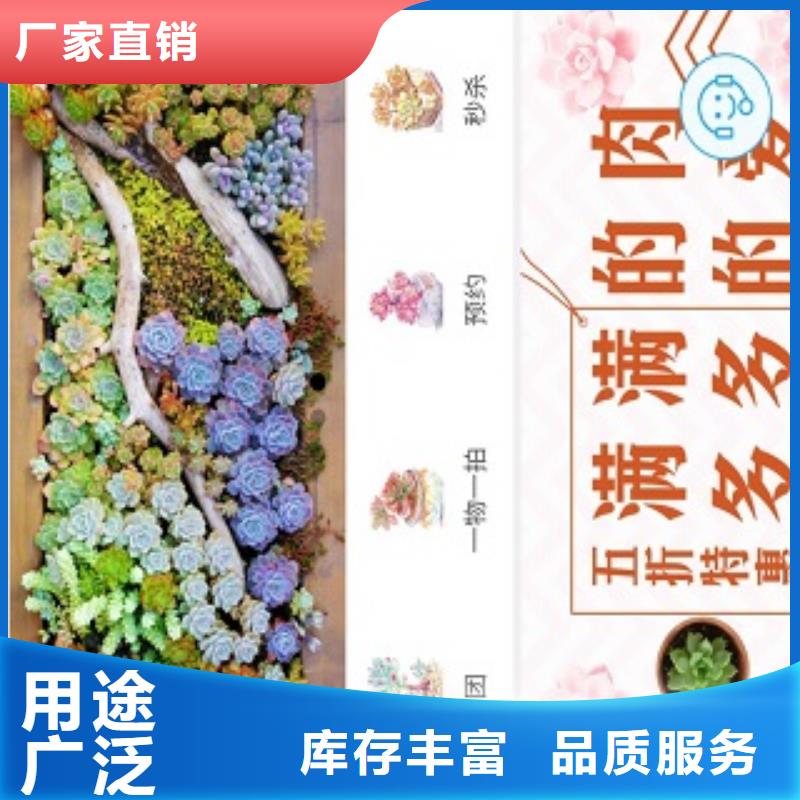 小程序制作厂家批发价