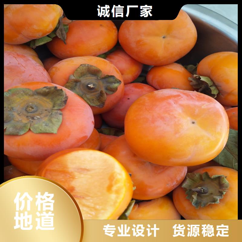 柿子_苹果苗自营品质有保障