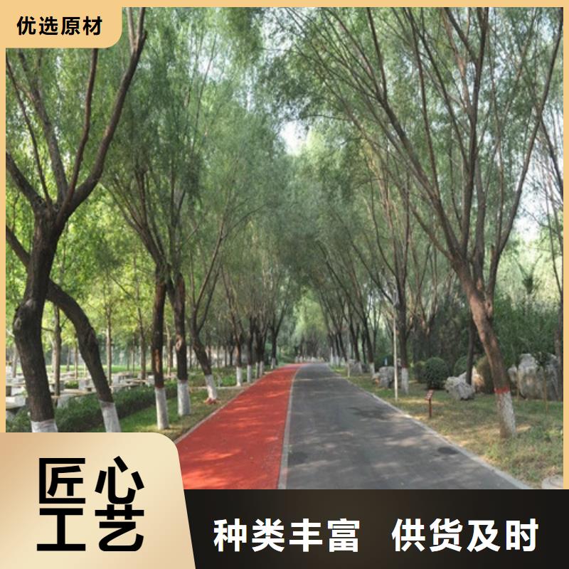 健身步道塑胶跑道定制零售批发