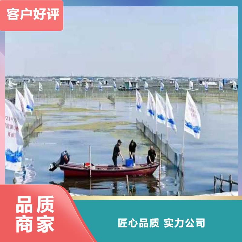 阳澄湖买大闸蟹哪家好阳澄湖吃大闸蟹农家乐