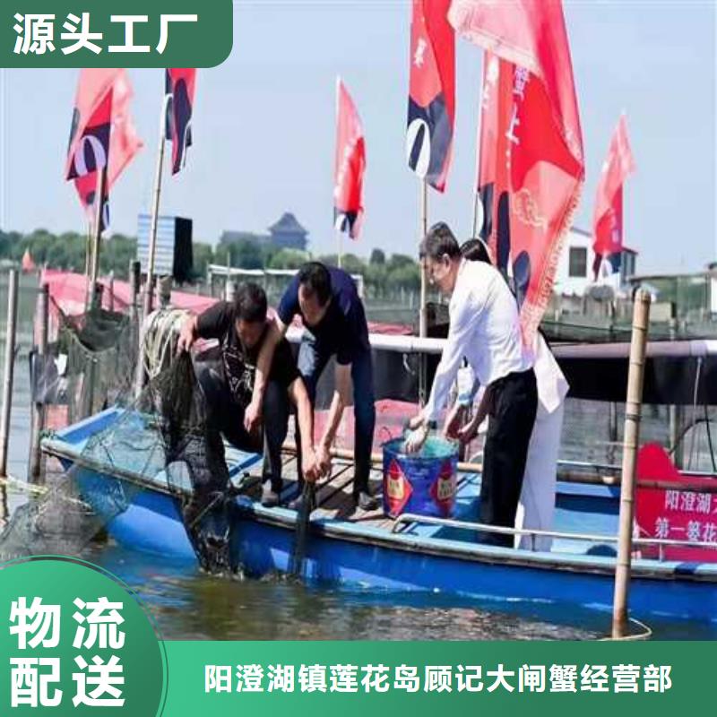 去正宗阳澄湖大闸蟹哪家正宗在苏州阳澄湖