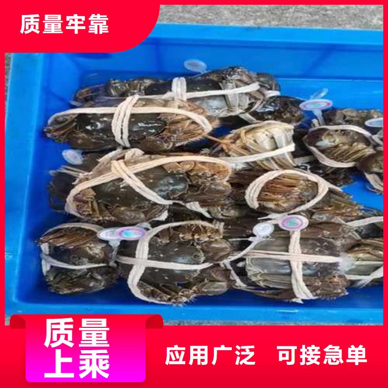 江苏阳澄湖大闸蟹哪家好