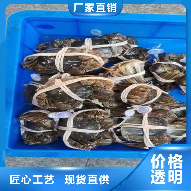 阳澄湖大闸蟹哪家正宗