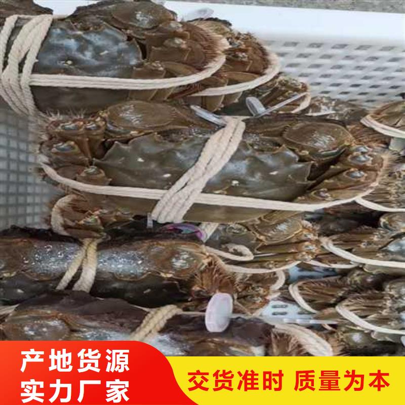 阳澄湖买大闸蟹哪家好阳澄湖吃大闸蟹农家乐比较正宗