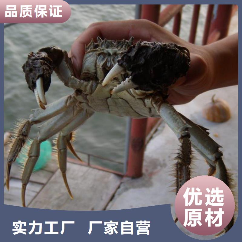 苏州阳澄湖大闸蟹哪家比较正宗临高县