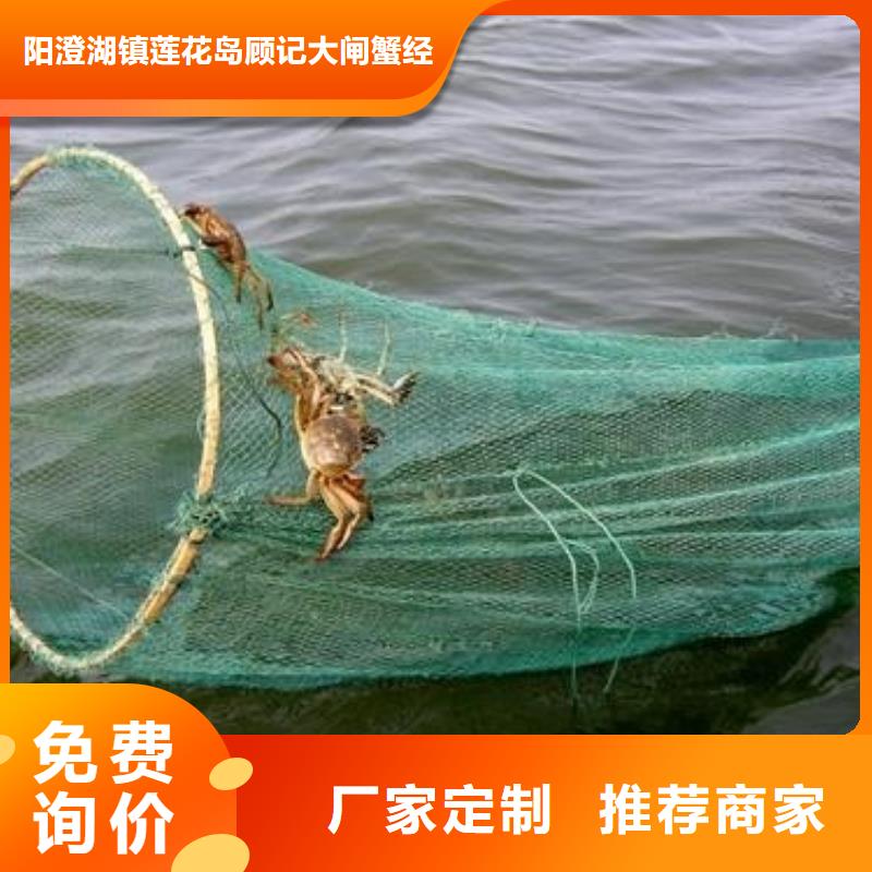 苏州阳澄湖大闸蟹哪家比较好吃
