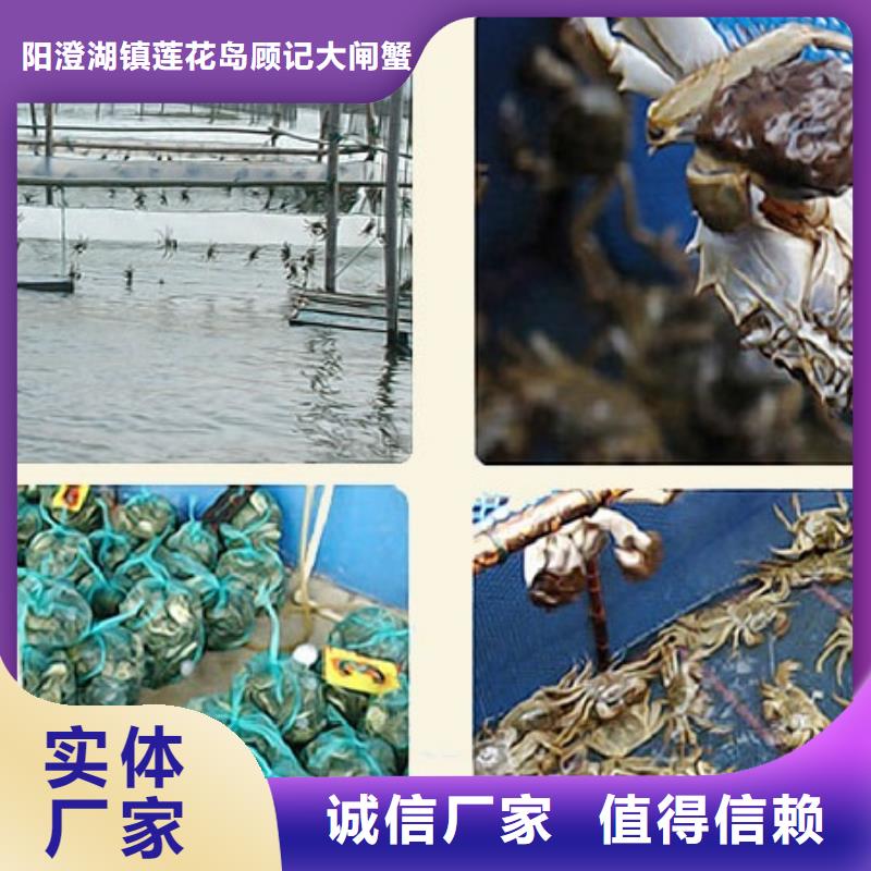 苏州阳澄湖大闸蟹哪家比较正宗临高县