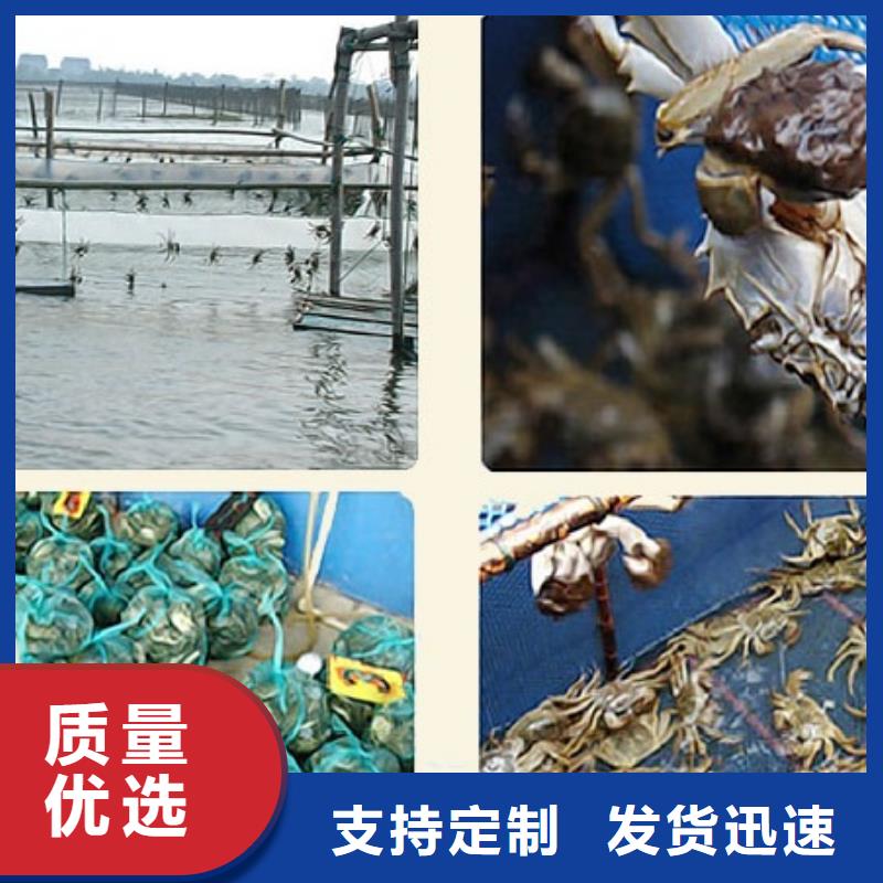 阳澄湖买大闸蟹哪家好阳澄湖吃大闸蟹农家乐