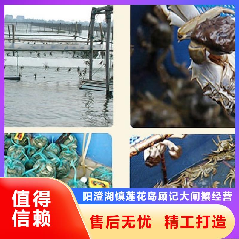 江苏阳澄湖大闸蟹哪里正宗