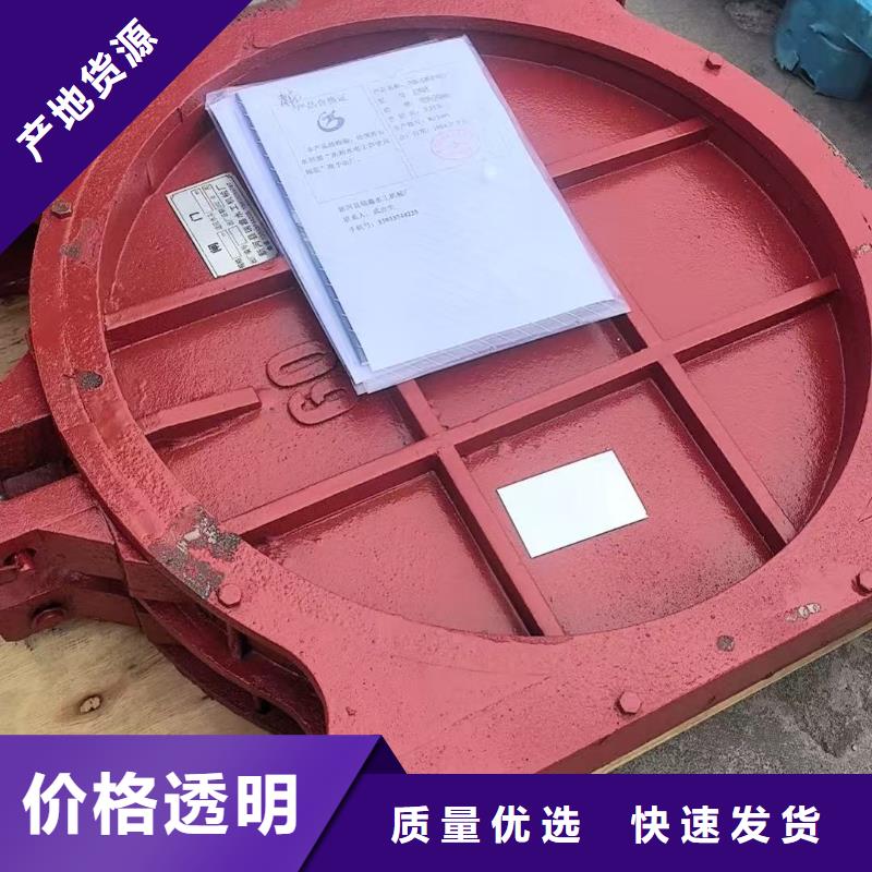 PZ双向止水铸铁闸门