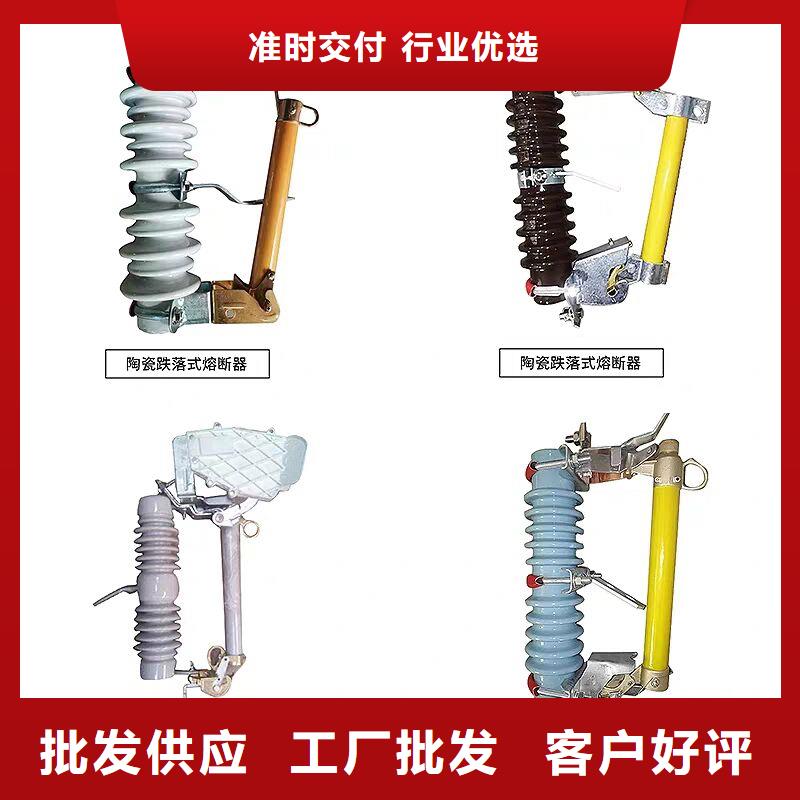 熔断器避雷器放心购