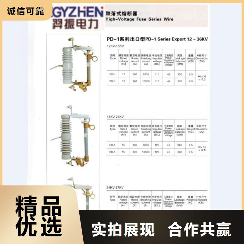 【熔断器跌落式熔断器厂家优质工艺】