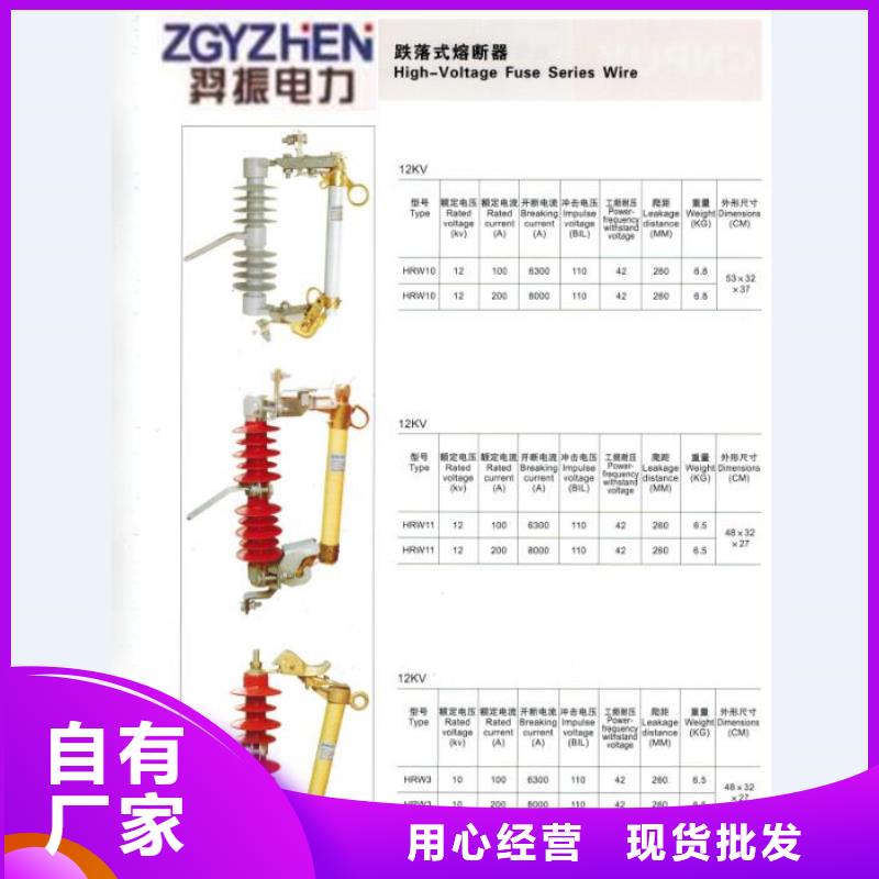 熔断器避雷器放心购