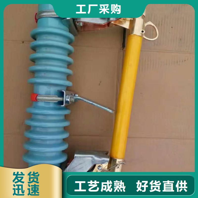 熔断器_金属氧化物避雷器专注生产N年