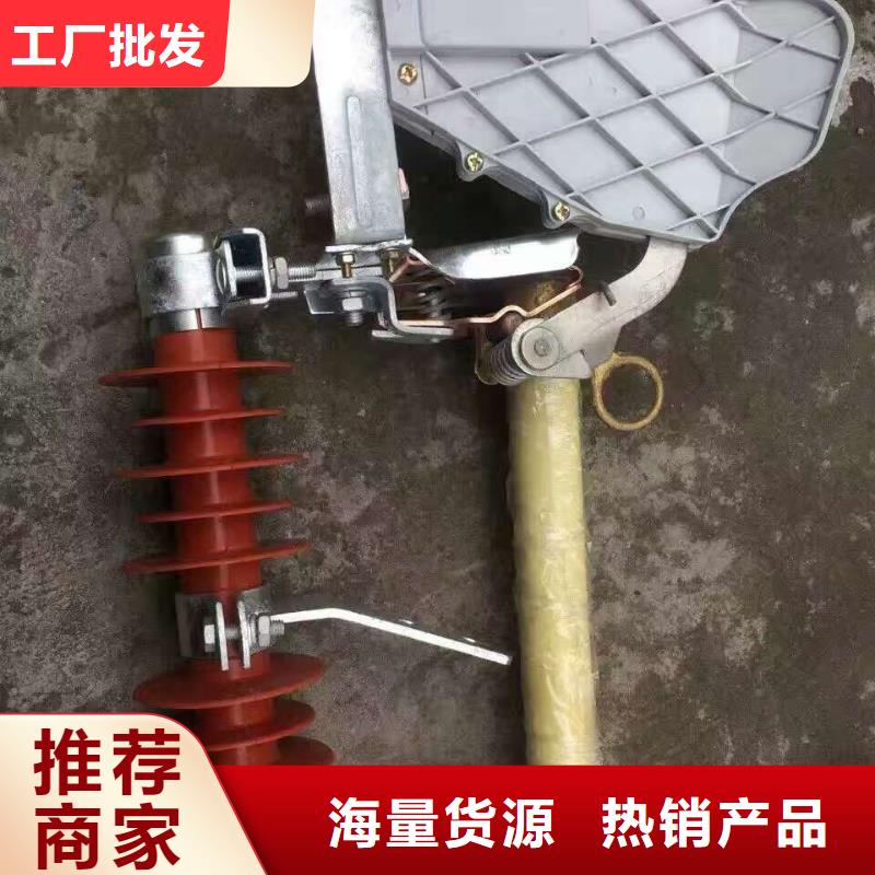 熔断器金属氧化物避雷器放心购