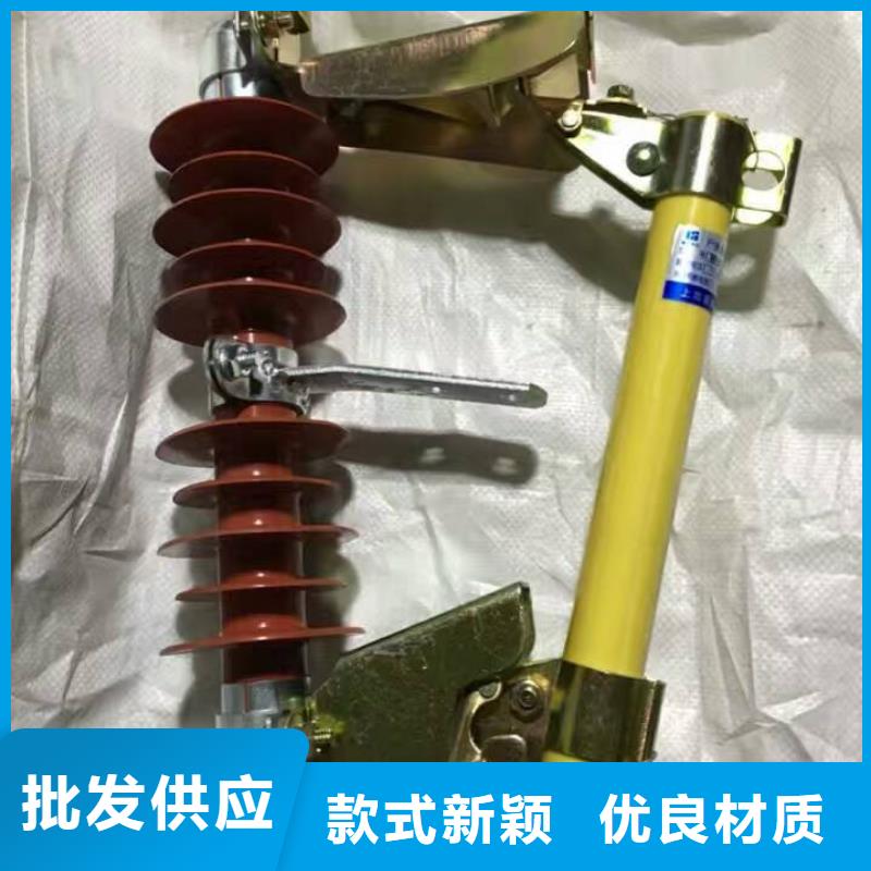 熔断器_金属氧化物避雷器专注生产N年