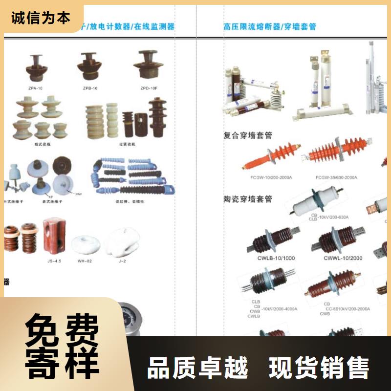 【高压隔离开关】避雷器48小时发货