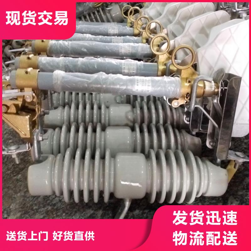 熔断器【金属氧化物避雷器】就近发货