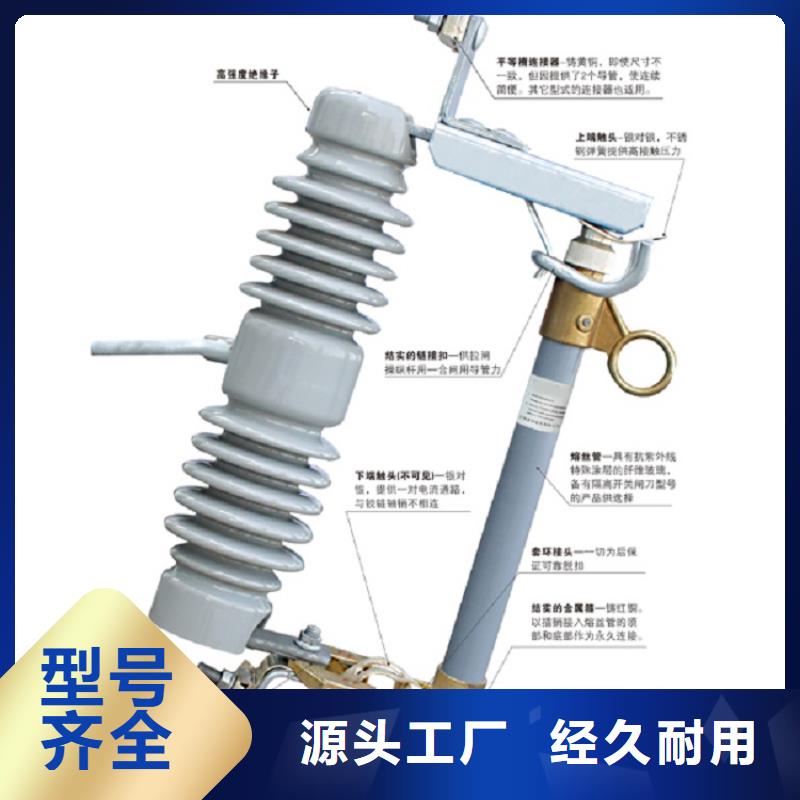 熔断器【避雷器】大厂家实力看得见