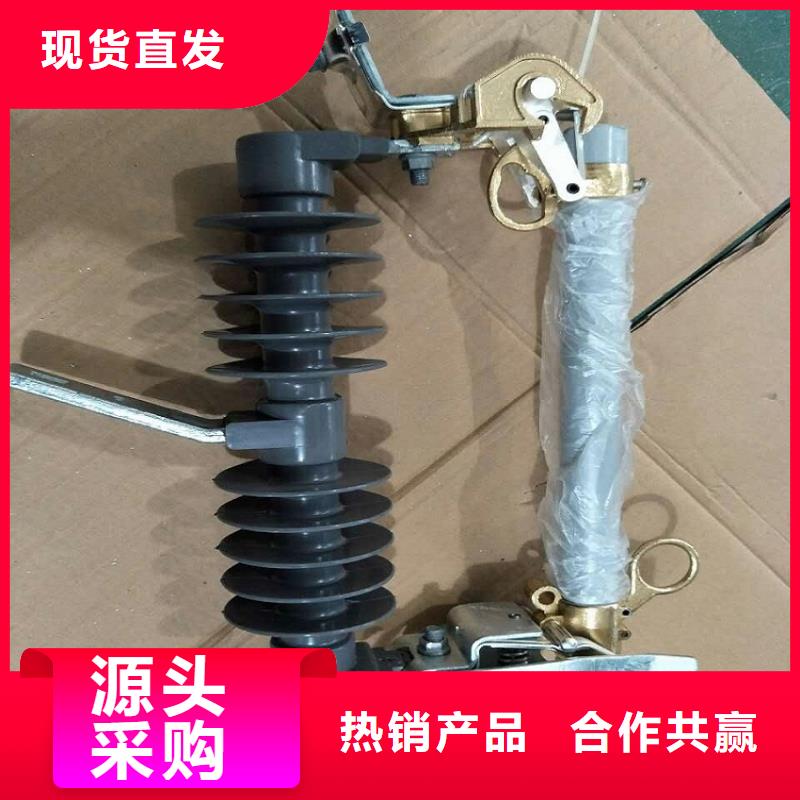 熔断器【避雷器】追求品质