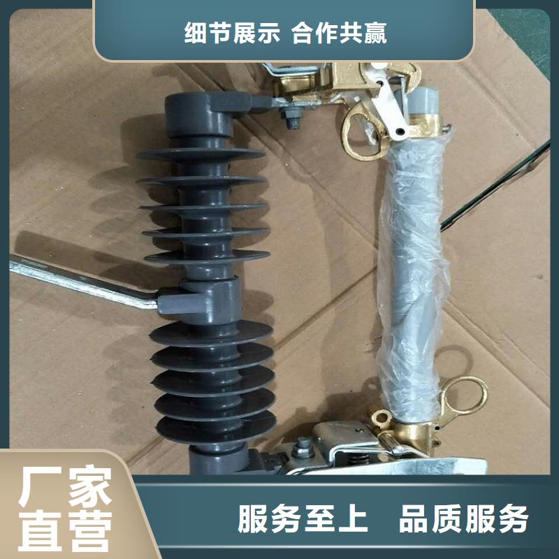 熔断器-金属氧化物避雷器实体厂家