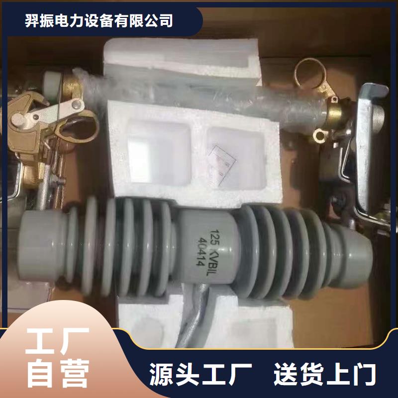 熔断器 【双电源真空断路器】精选好货