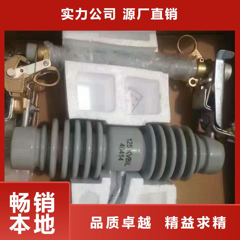 熔断器-绝缘子厂家品质无所畏惧