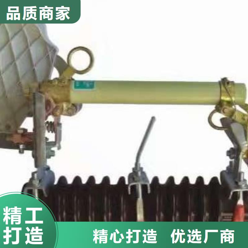 【熔断器金属氧化物避雷器款式多样】