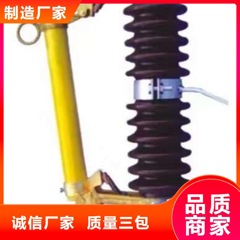 熔断器【金属氧化物避雷器】就近发货