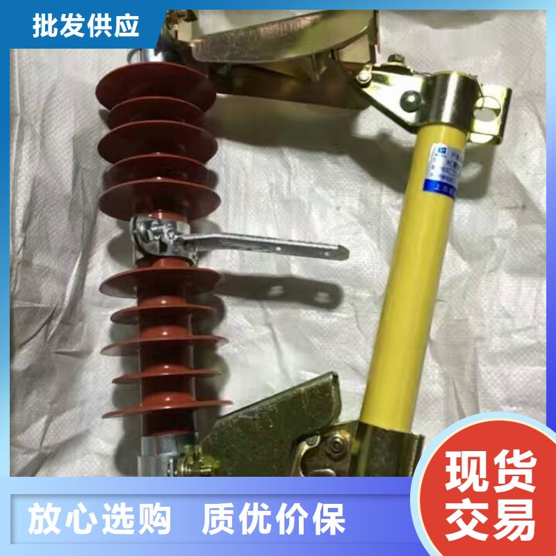 熔断器【跌落式熔断器】您身边的厂家