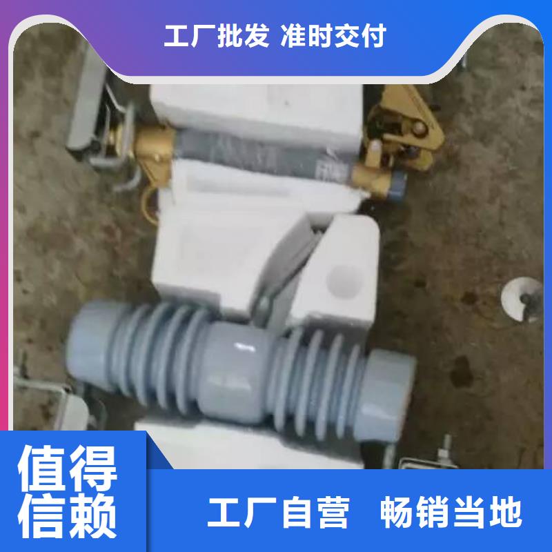 【熔断器三相组合式避雷器大品牌值得信赖】