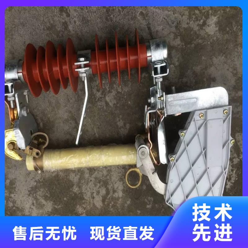 熔断器_金属氧化物避雷器实体诚信经营