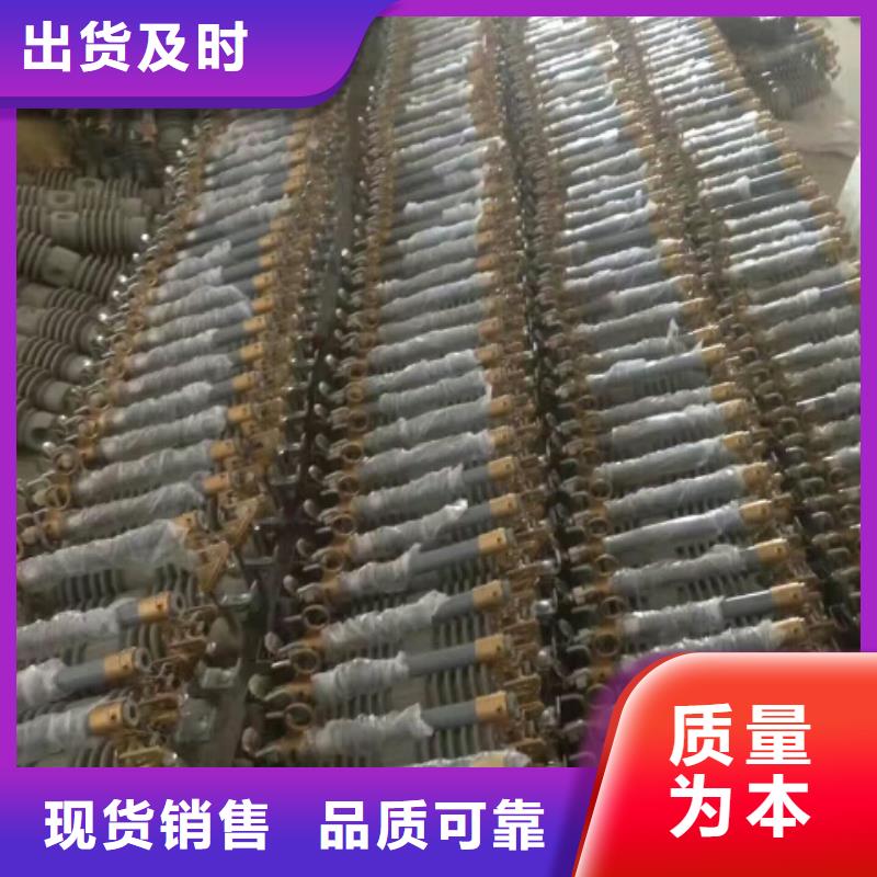 当地《羿振》熔断器金属氧化物避雷器产地工厂