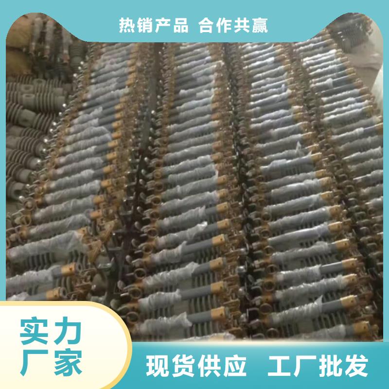 熔断器-金属氧化物避雷器产地货源