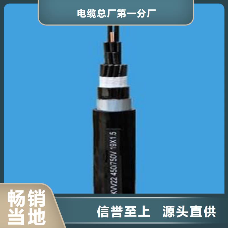 特种电缆,铁路信号电缆高性价比