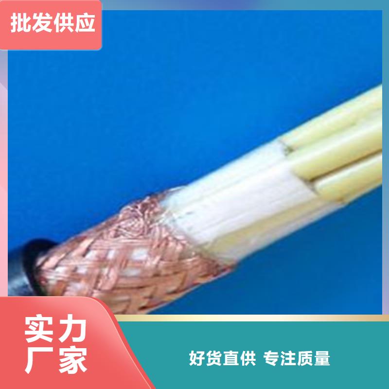特种电缆,煤矿用阻燃通信电缆支持大批量采购