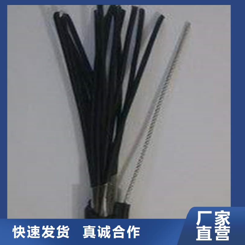 特种电缆屏蔽电缆一站式供应