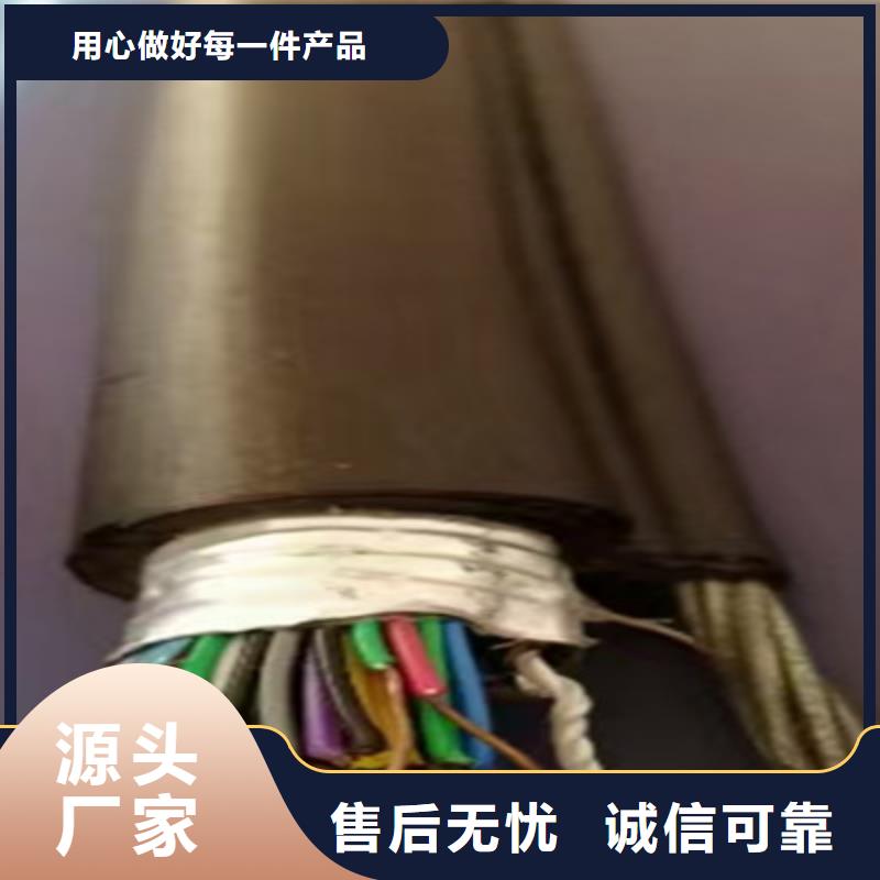 【通信电缆】信号电缆满足客户所需