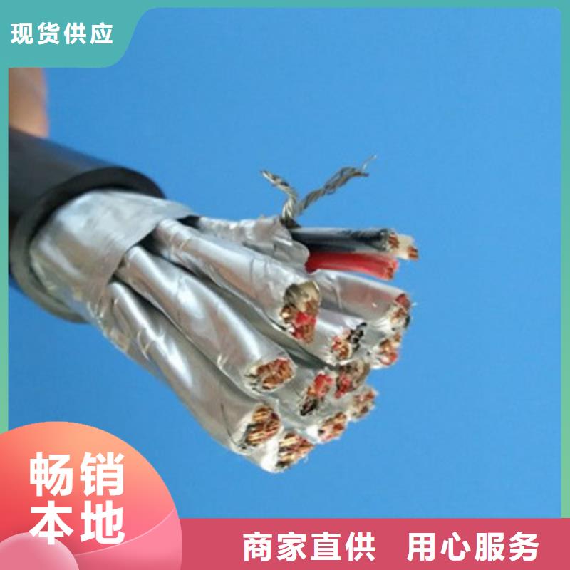 计算机电缆,屏蔽电缆研发生产销售