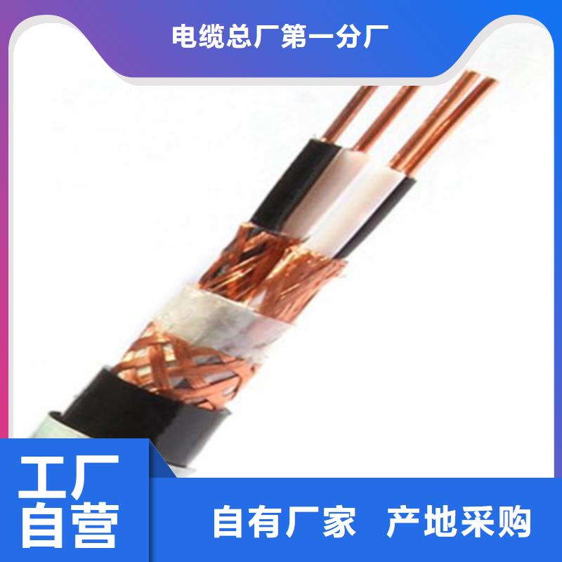 【计算机电缆,电缆生产厂家支持大批量采购】
