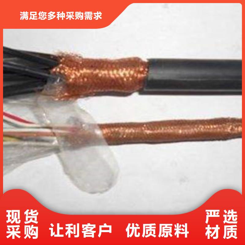 【计算机电缆_通信电缆实力优品】