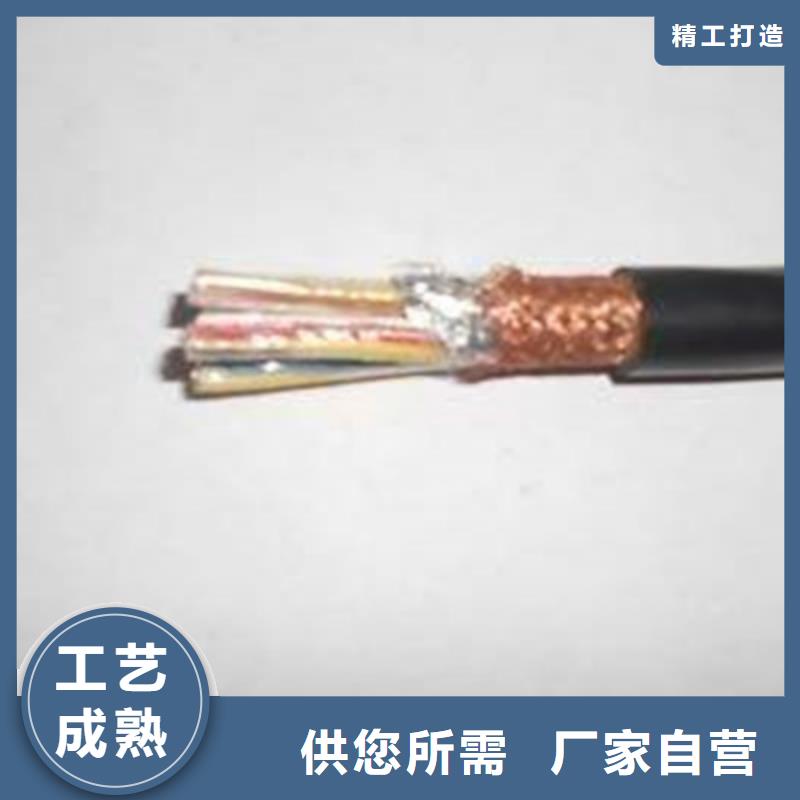 计算机电缆屏蔽电缆厂家采购