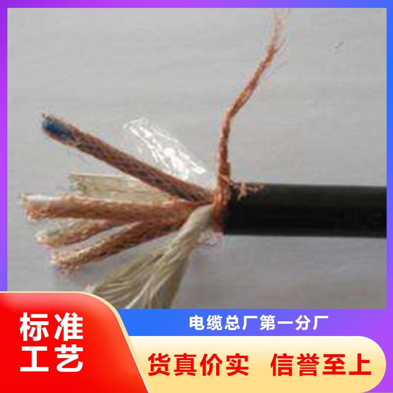 计算机电缆屏蔽电缆厂家采购