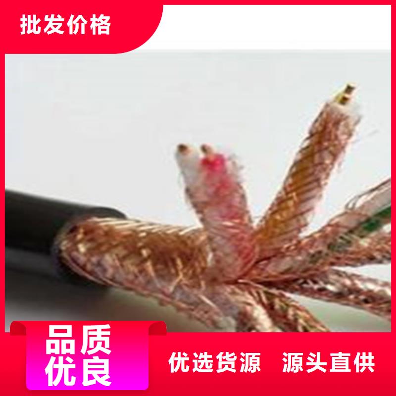 【计算机电缆,电缆生产厂家支持大批量采购】