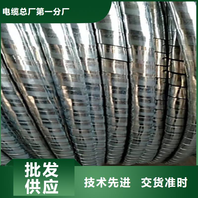 【铁路信号电缆-信号电缆一件也发货】