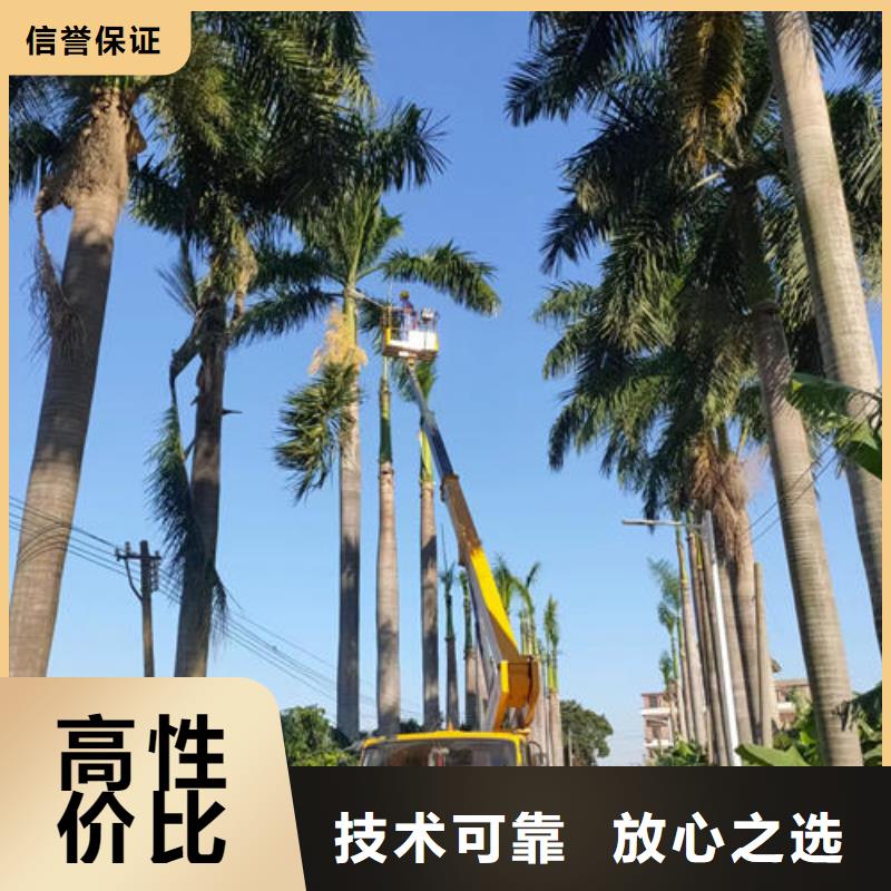 珠海市吉大街道高空作业平台租赁欢迎咨询