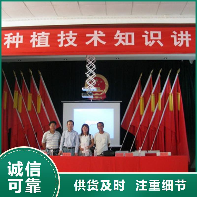 草莓苗油蟠桃树苗拥有多家成功案例